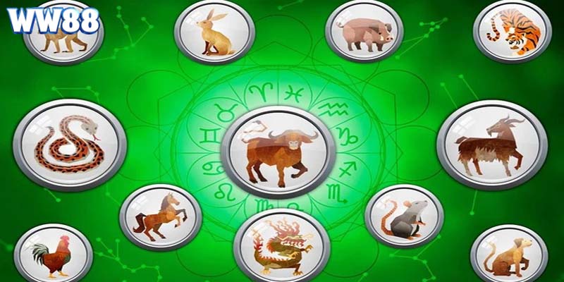 Cách chơi thú vị, độc đáo thu hút đông đảo người