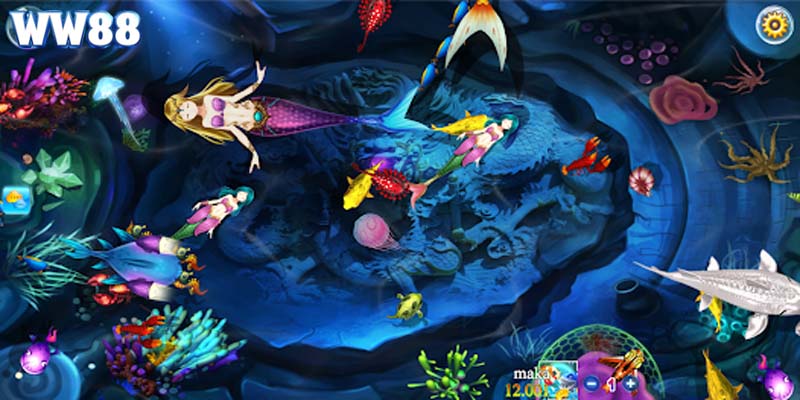 Kỹ năng quản lý vốn rất quan trọng bên cạnh kinh nghiệm bắn cá